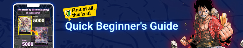 Quick Beginner's Guide